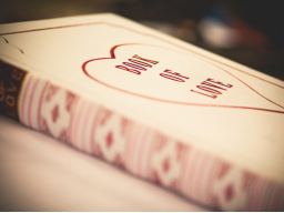 Webinar: DEIN BUCH DER LIEBE - DEINE AUFZEICHNUNGEN ERKENNEN UND TRANSZENDIEREN