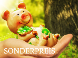 Webinar: SONDERPREIS