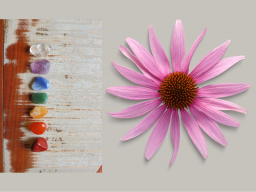 Webinar: COACHING/AUSBILDUNG: Die Universelle Heilkraft - Der Innere Heiler - FERNEINWEIHUNG