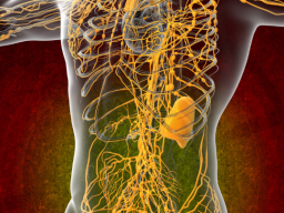 ***NEU***  Immunsouveränitätssiegelsystem (Lymphabwehrsystem - Gesundheit/Reinigung) - Fernausbildung!