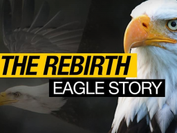 DIE DNA-GEBURT DES SPIRITUELLEN ADLERS (JUGEND) | DEINE TRANSFORMATIONS-ENTSCHEIDUNG FÜR DEINE SPIRITUELLE DNA