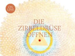 Webinar: 19.-25.11.25 Die Zirbeldrüse öffnen (d | en)