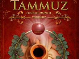Webinar: DIE TRANSFORMATIONS-ENERGIEN DES NEUEN MOND-MONATES TAMMUZ EINLADEN