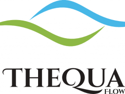 Webinar: TheQua-Flow - Info - und was brauchst du gerade am meisten?