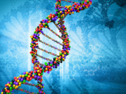 Webinar: Ausbildung/Coaching: 24 Strang DNA Aktivierung - Ferneinweihung!