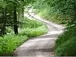 Webinar: Wo führt Dein Weg Dich hin?