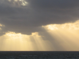Webinar: Ahnen- und Inkarnationsheilung powered by Holographic Healing (c)
