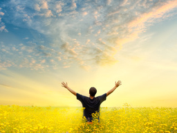 Webinar: Entdecke die Göttliche Alchemie für innere Transformation und mehr Lebensfreude.