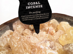 Webinar: WEISSER COPAL (DAS GEHIRN DES HIMMELS) - VORBEREITUNG DES HERZENS AUF DAS GÖTTLICHE LICHT VON TAUSEND SONNEN