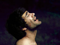 Webinar: DER JUDAS SCHATTEN® - INDIVIDUELLE DNA-TRANSFORMATION DEINES UR-THEMA´S