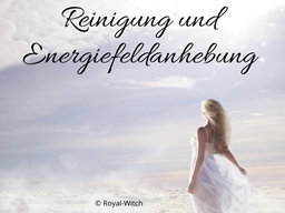 Webinar: Reinigung u. Energiefeldanhebung