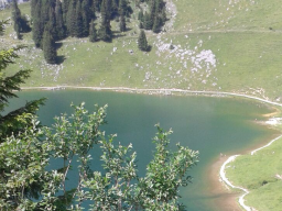 Webinar: Intweb und Lifechanneling: Tiefenheilung der inneren Frau durch alle prägnanten Zeitepochen und im systhemischen Feld