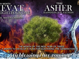 ENERGIE-SURFING IM URSPRUNGS-MONAT SHEVAT | JANUAR/FEBRUAR 2026