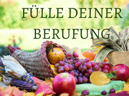 Webinar: Fülle deiner Berufung "ERFOLGE MESSEN"