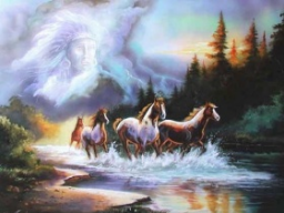 Energetische Hausreinigung & Schutzfeld-Aktivierung