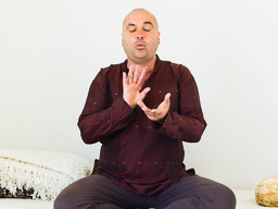 Webinar: ALLES LOSLASSEN | GRATIS Webinar
