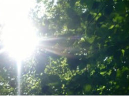Webinar: Grüner Star - na und ?