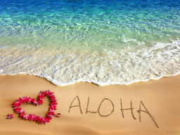 Webinar: ALOHA-Orakel HAWAI'I