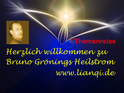 Webinar: Heilstrom - Meditation - Themenreise - Grenze und Ausdruck Haut