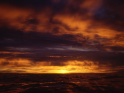 Webinar: Abendmeditation