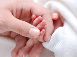 Webinar: **Kinderwunsch**Erlebe dein Glück