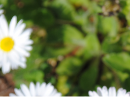 Webinar: FRÜHJAHRS-AKTION! - Einweihung in Kundalini Reiki Grad 1