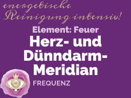 Webinar: MERIDIANE- Herz- und Dünndarm-Meridian/ Element Feuer