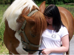 Webinar: ✮Schamanische Tierheilung-lerne die Schamanische Heilung beim Tier✮