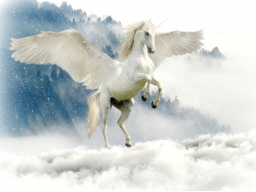 EDLE AUSBILDUNG/COACHING: EINHORN-ENERGIE - 5 Ferneinweihungen! AUSBILDUNG