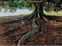 SPIRITUELLER DOPPELKATALYSATOR FÜR VERÄNDERUNG
