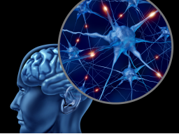 Webinar: Ausbildung Astromedizin 1. Zentrales und peripheres Nervensystem