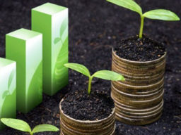 Ausbildung/Coaching: NEUROGENE REICHTUMSAKTIVIERUNG UND - EINSTIMMUNG - Ferneinweihung!