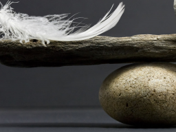 Webinar: achtsamkeit und nun ?