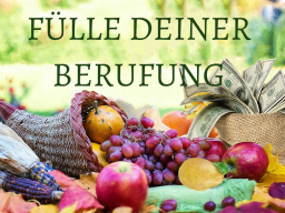 Webinar: Fülle deiner Berufung "ERFOLGE MESSEN"