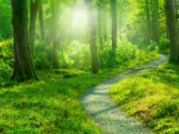 Webinar: Spirituelle Beratung nur für dich erhalten!