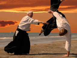 Webinar: Verbales Aikido - Die gewaltfreie  Dialogkunst