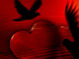 Webinar: ლ Aufzeichnung Love is his-Karma Auflösung / Energie