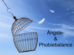 Webinar: Ängste- und Phobiebalance