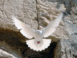 Webinar: DAS WUNDER DER OFFENEN HIMMEL - CHRISTUS UND DAS PFINGSTWUNDER - DEINE WERT-SCHÄTZUNGS-GABE: paypal.me/indigocrystal