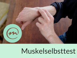 Webinar: Teste was dir gut tut- Muskelselbsttest