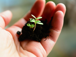 Webinar: BrainSoul-Business