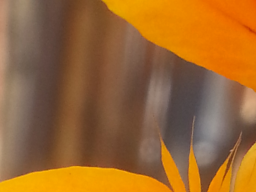Webinar: 8 sam mit mir