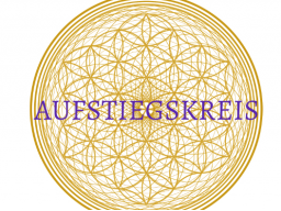 Webinar: AUFSTIEGSKREIS November