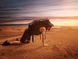 Webinar: IMMER AUF SPIRITUELLER SUCHE - NIE AM ZIEL? DNA-TRANSFORMATION DER FASZINATION FÜR TÄUSCHUNG *90 MIN*