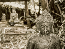 Webinar: ENERGIESYSTEM/COACHING: Heilung der Kundalini Syndrome - FERNEINWEIHUNG!