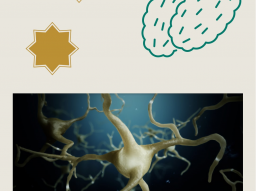 COCAHING/AUSBILDUNG: Hypothalamus - Hypophyse - Hormonsteuerung! FERNEINWEIHUNG!