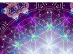 Webinar: Aufstellungselement - Unsere Ebenen -