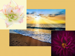 Webinar: Ferneinweihung! Lemurian Transformation - Reise nach Lemuria; um Ängste zu transformieren