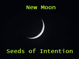 Webinar: New Moon - Seeds of Intention