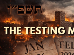 DIE TESTPHASE: JANUAR BIS MÄRZ 2026 | DEIN SPIRITUELLER PRÜFSTAND